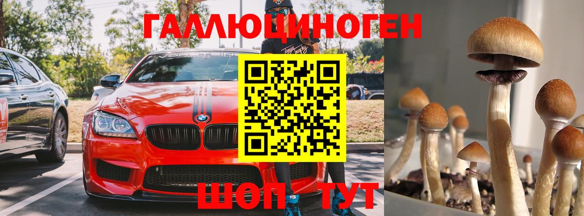Псилоцибиновые грибы прущие грибы  Вход с VPN  Нижнекамск  Псилоцибиновые грибы Magic Shrooms 