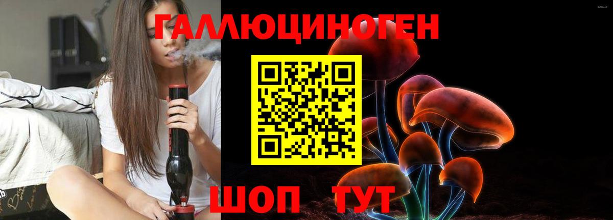 Псилоцибиновые грибы Cubensis Нижнекамск
